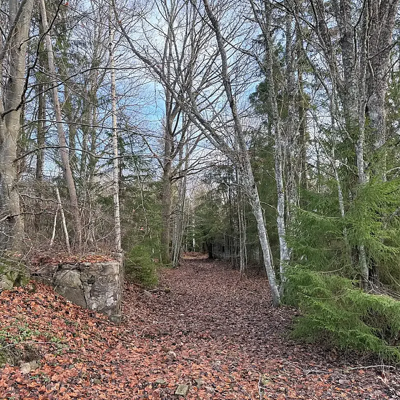 Expansive 5344 m² Land Near Liatorp: Ideal for Your Swedish Retreat
