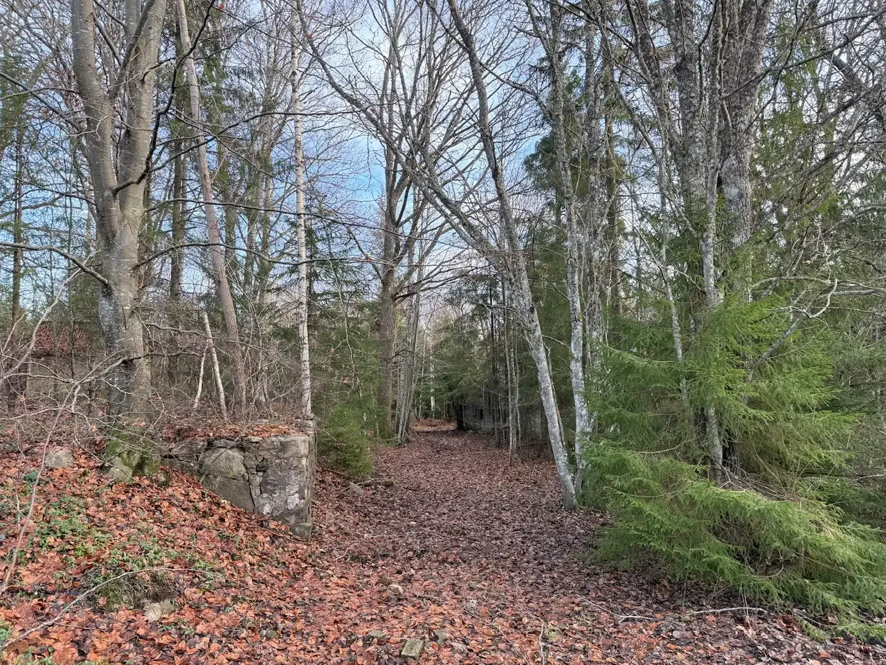 Expansive 5344 m² Land Near Liatorp: Ideal for Your Swedish Retreat - Image 2