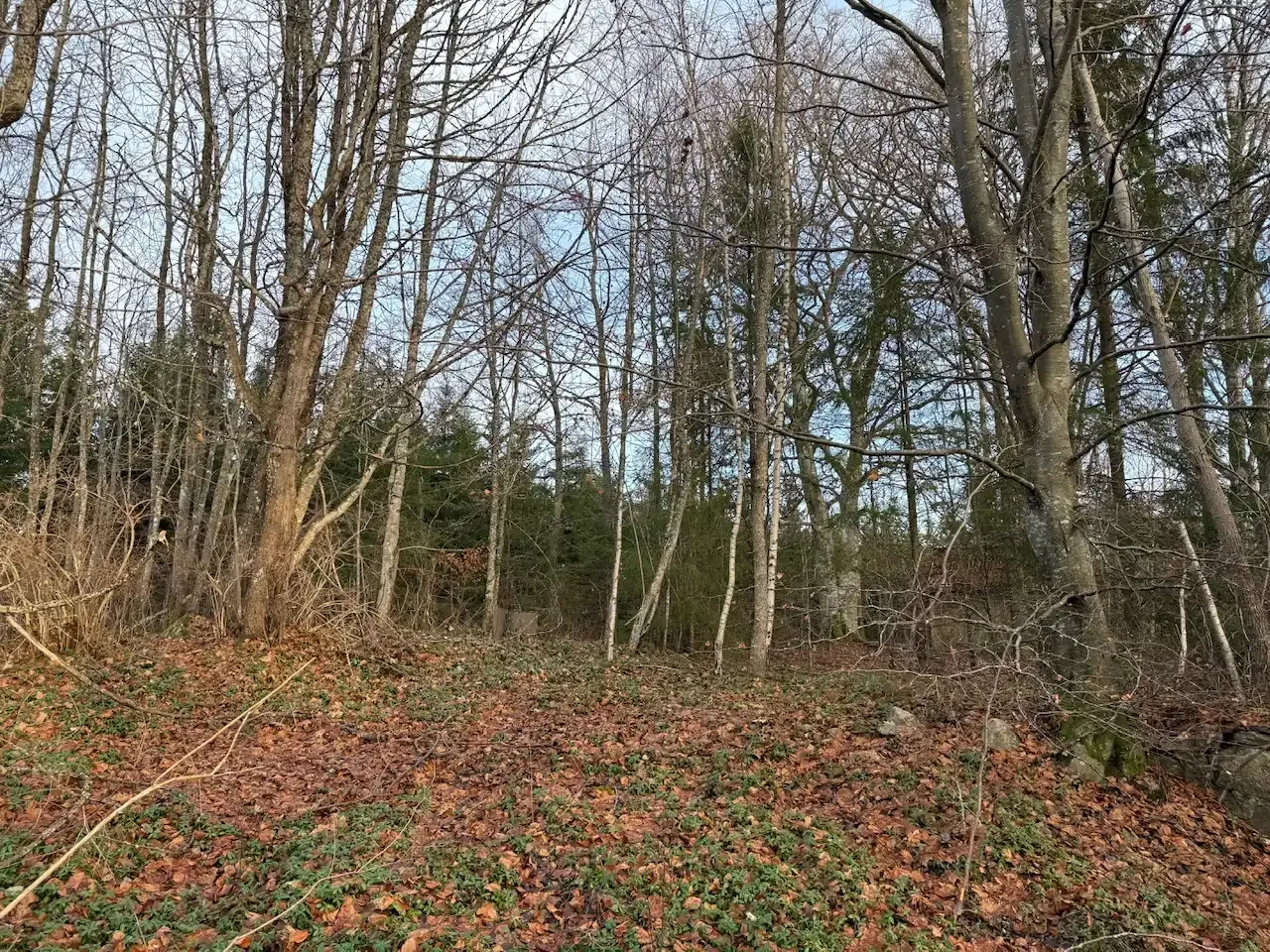 Expansive 5344 m² Land Near Liatorp: Ideal for Your Swedish Retreat - Image 3