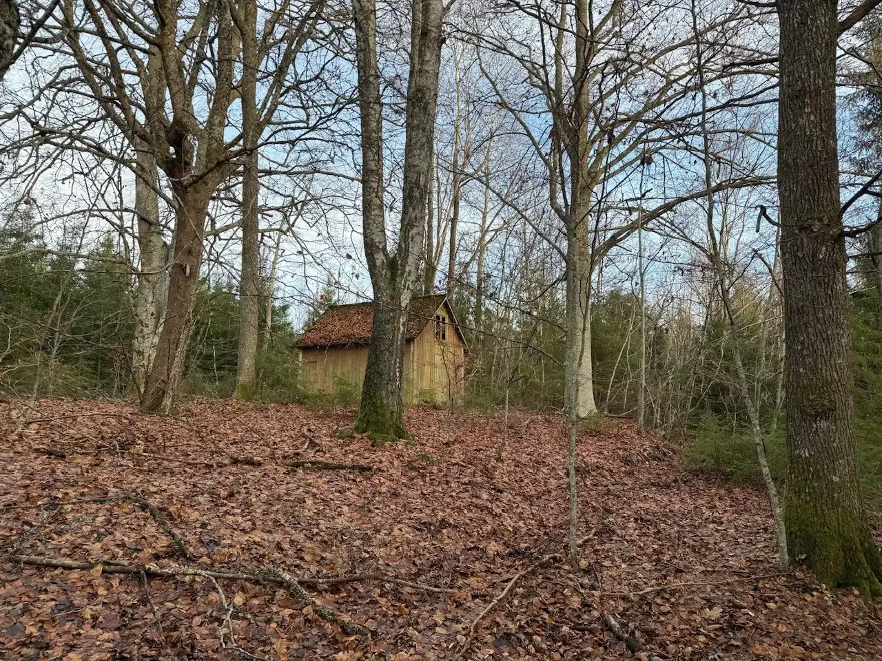 Expansive 5344 m² Land Near Liatorp: Ideal for Your Swedish Retreat - Image 5