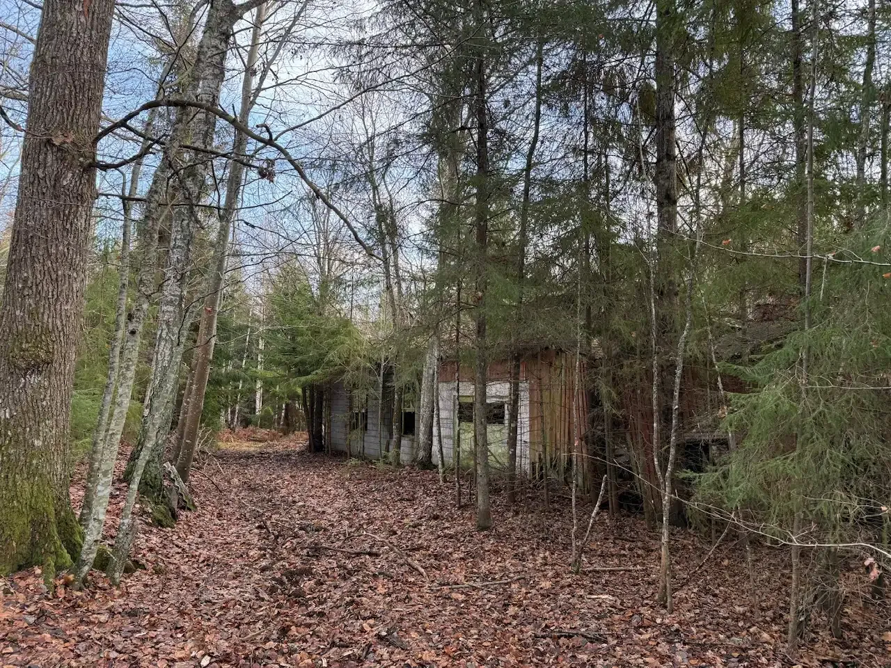 Expansive 5344 m² Land Near Liatorp: Ideal for Your Swedish Retreat - View image 7 of 21