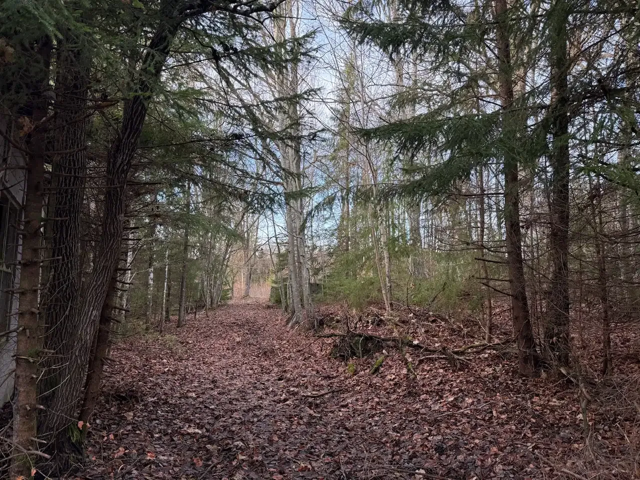 Expansive 5344 m² Land Near Liatorp: Ideal for Your Swedish Retreat - View image 9 of 21