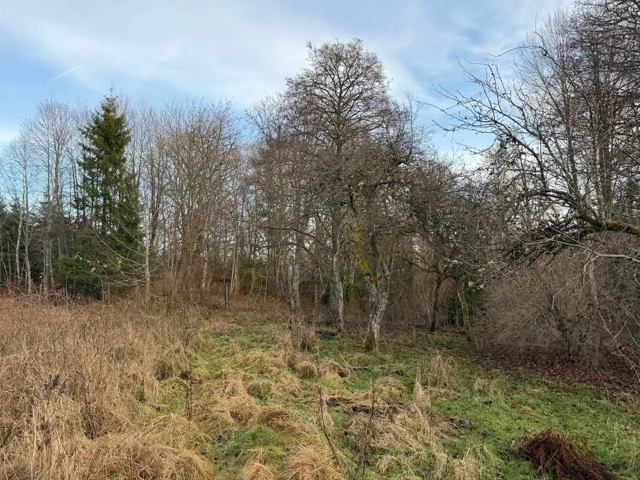 Expansive 5344 m² Land Near Liatorp: Ideal for Your Swedish Retreat - View image 10 of 21