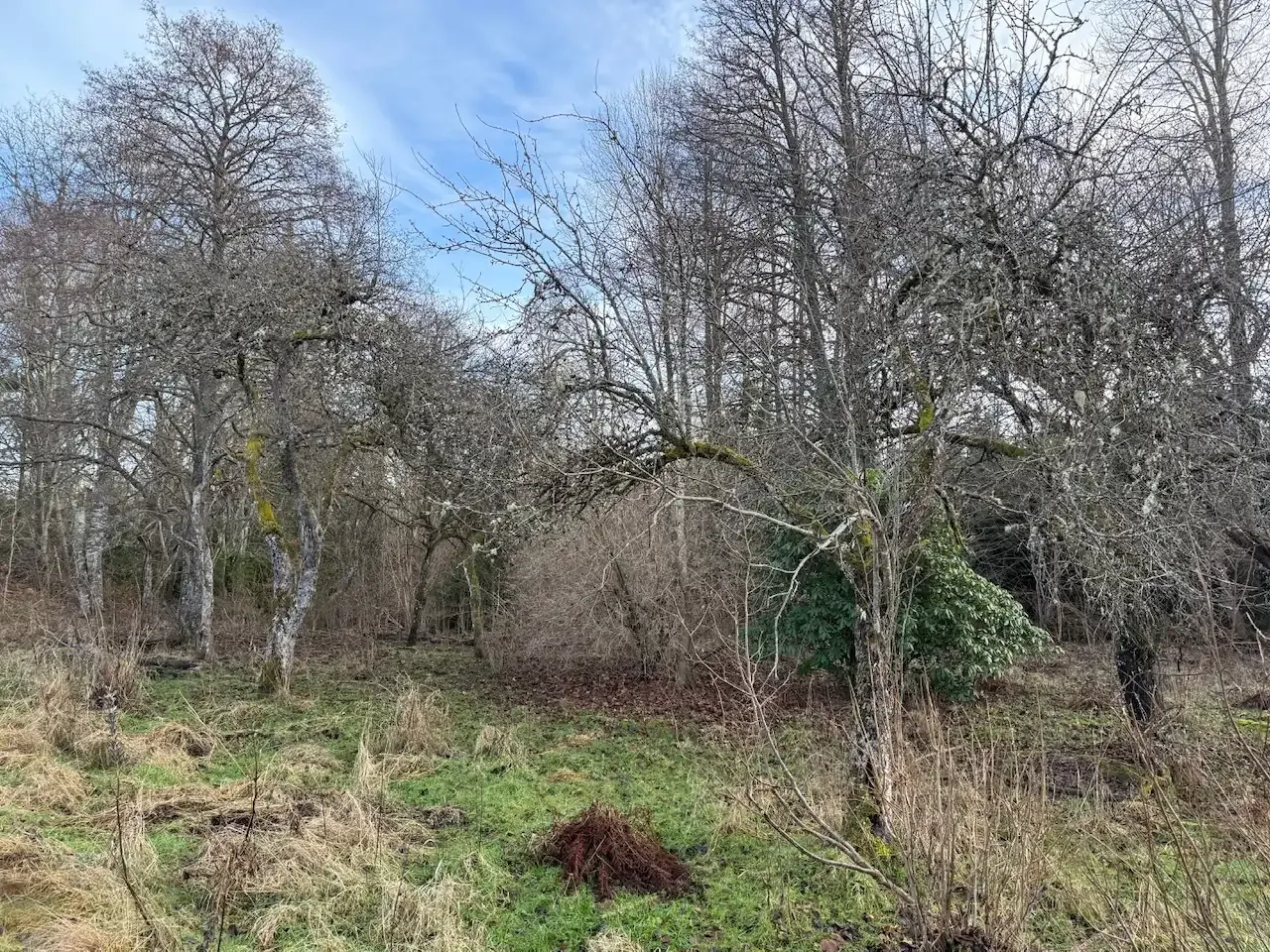 Expansive 5344 m² Land Near Liatorp: Ideal for Your Swedish Retreat - View image 11 of 21