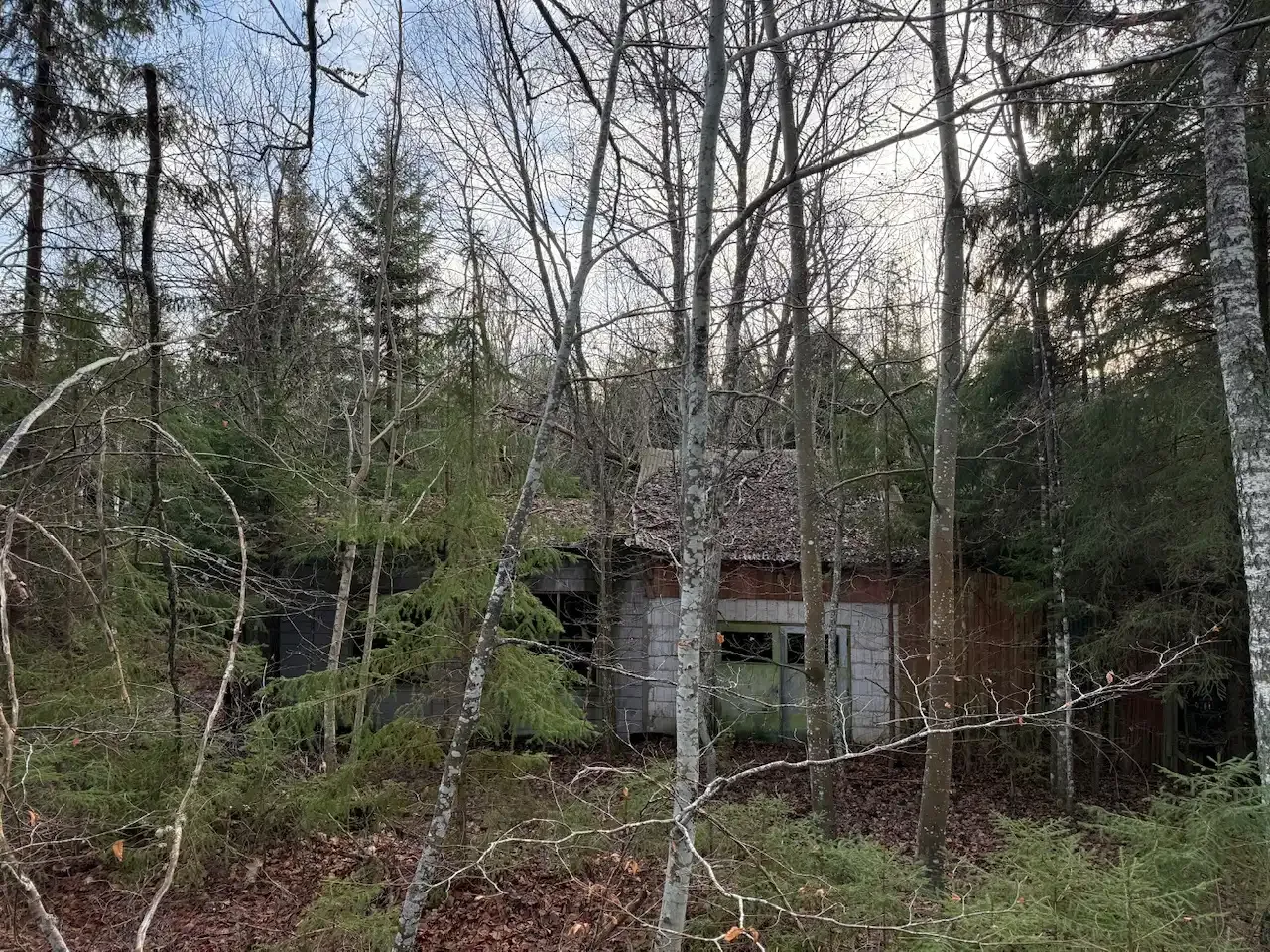 Expansive 5344 m² Land Near Liatorp: Ideal for Your Swedish Retreat - View image 12 of 21