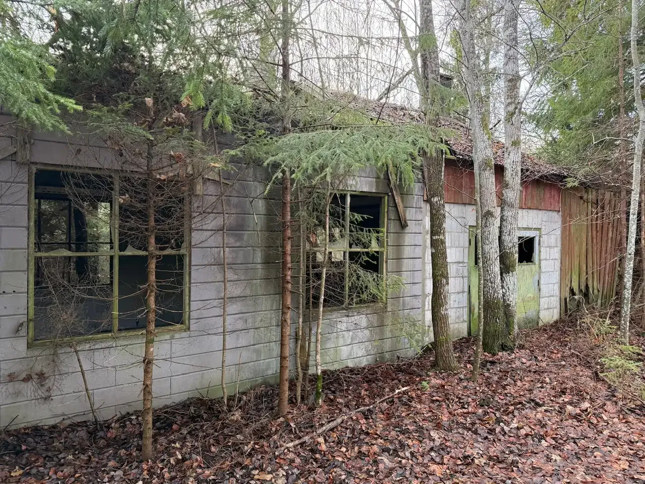 Expansive 5344 m² Land Near Liatorp: Ideal for Your Swedish Retreat - View image 13 of 21