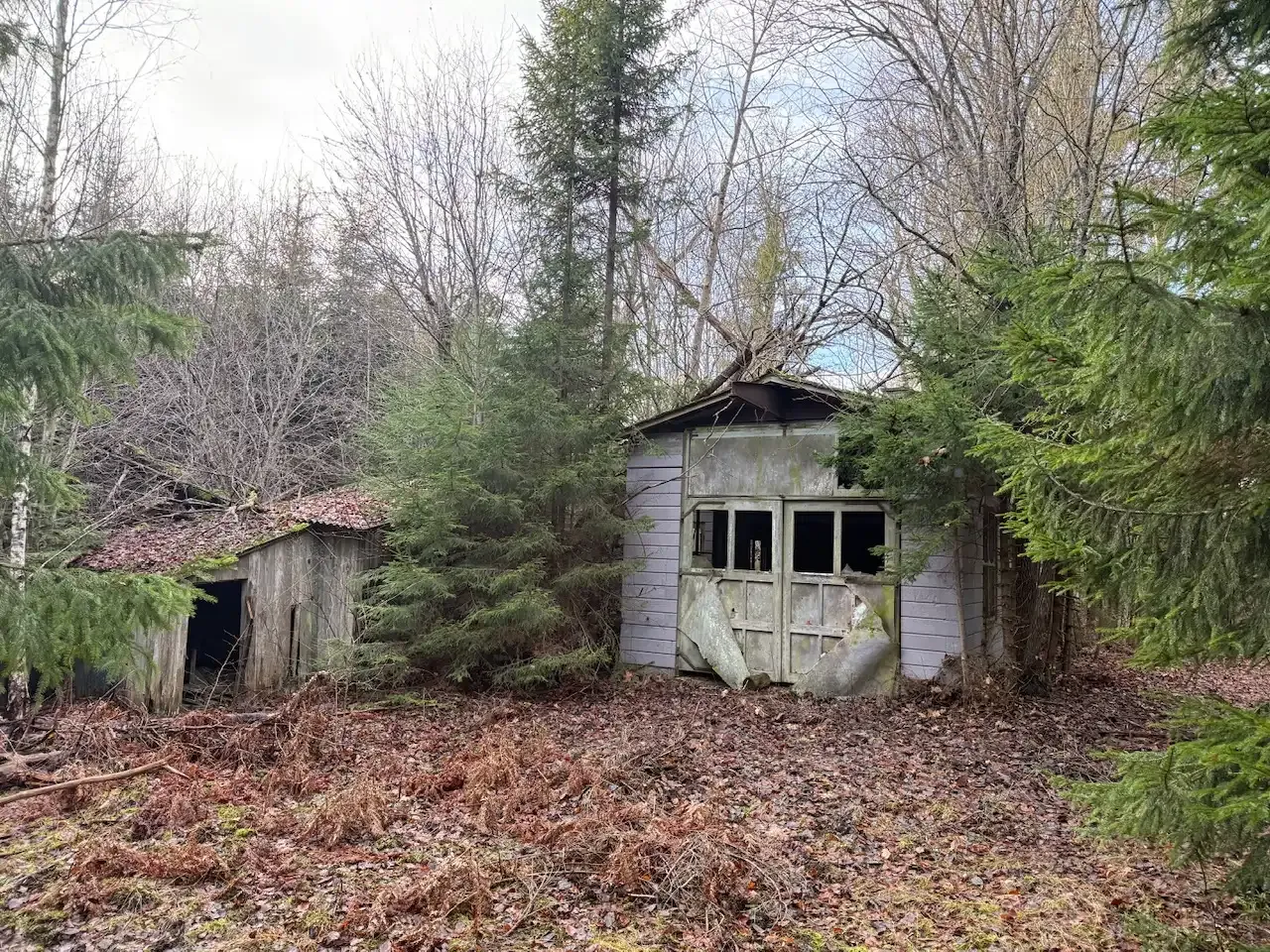 Expansive 5344 m² Land Near Liatorp: Ideal for Your Swedish Retreat - View image 14 of 21