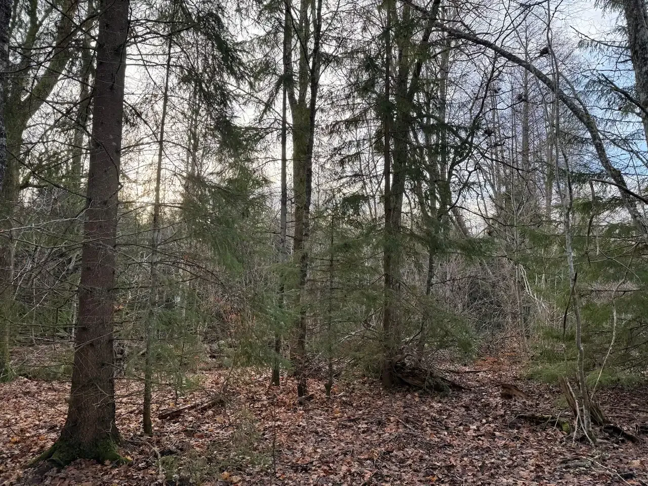 Expansive 5344 m² Land Near Liatorp: Ideal for Your Swedish Retreat - View image 20 of 21