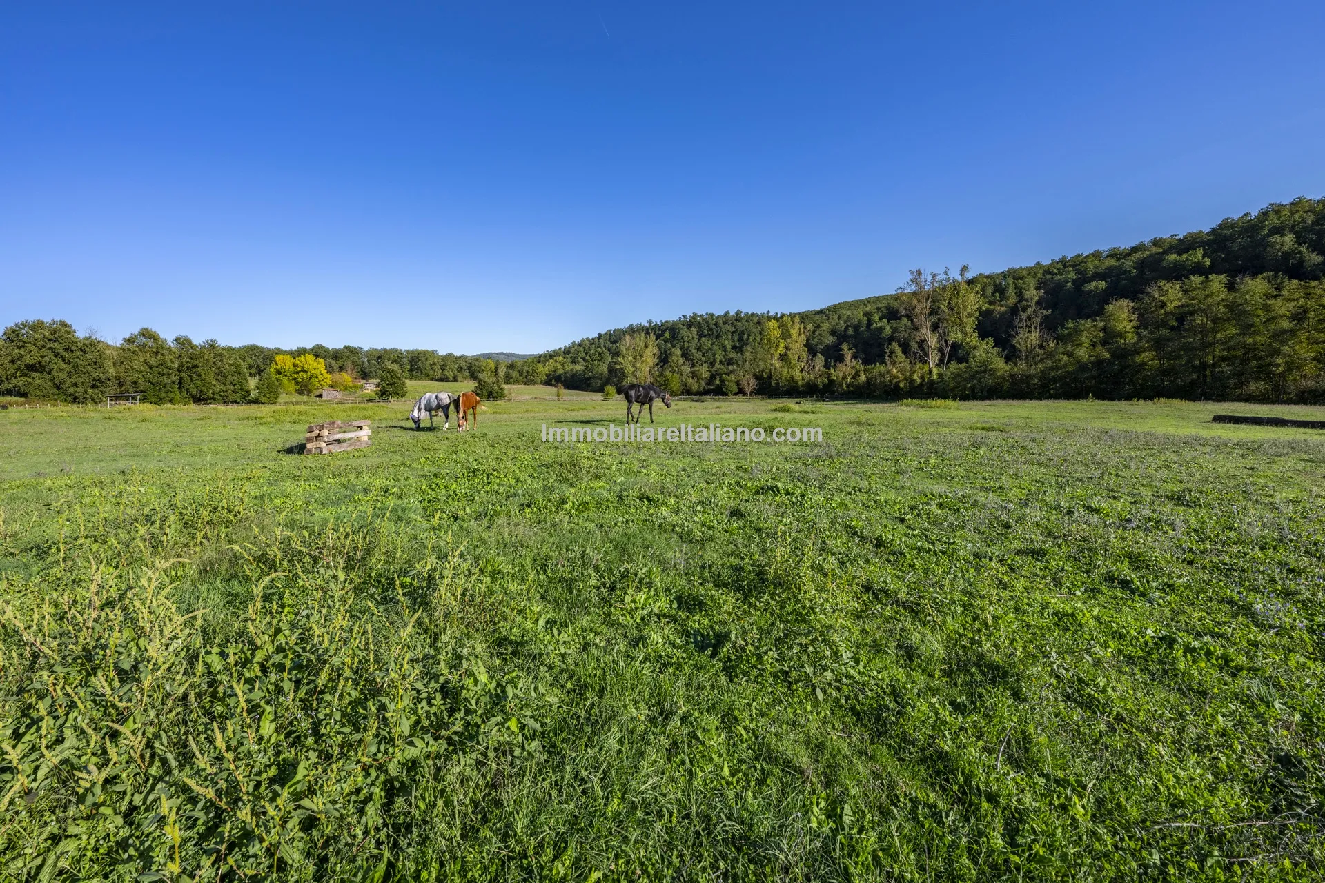 9-Bedroom Farmhouse with Pool and Equestrian Potential in Tuscany - View image 18 of 104