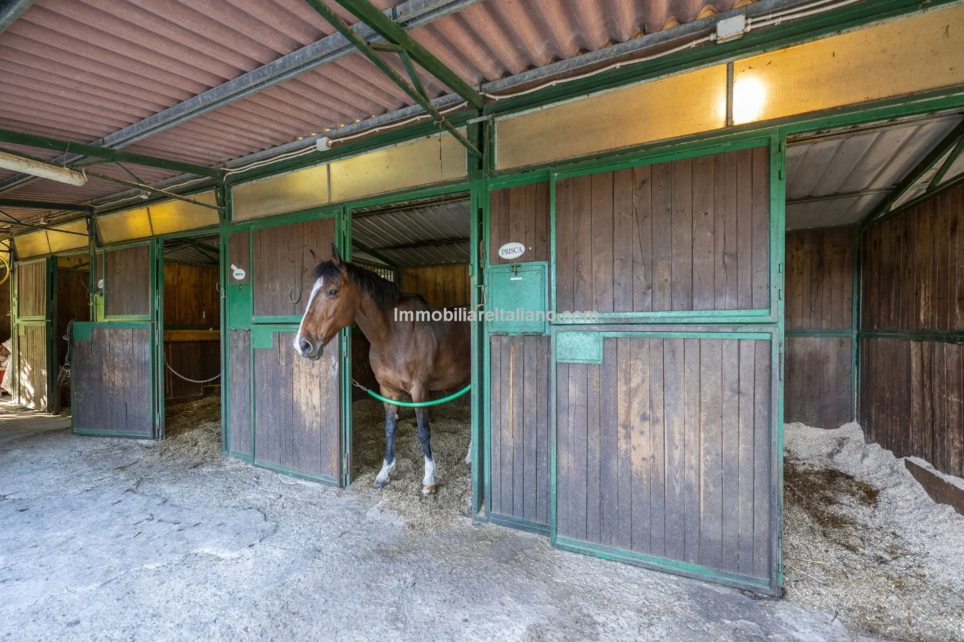9-Bedroom Farmhouse with Pool and Equestrian Potential in Tuscany - View image 24 of 104
