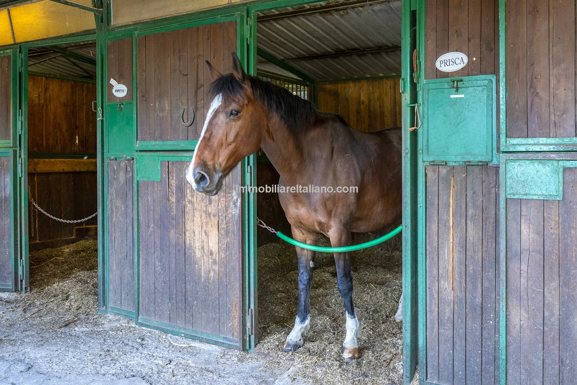 9-Bedroom Farmhouse with Pool and Equestrian Potential in Tuscany - View image 25 of 104