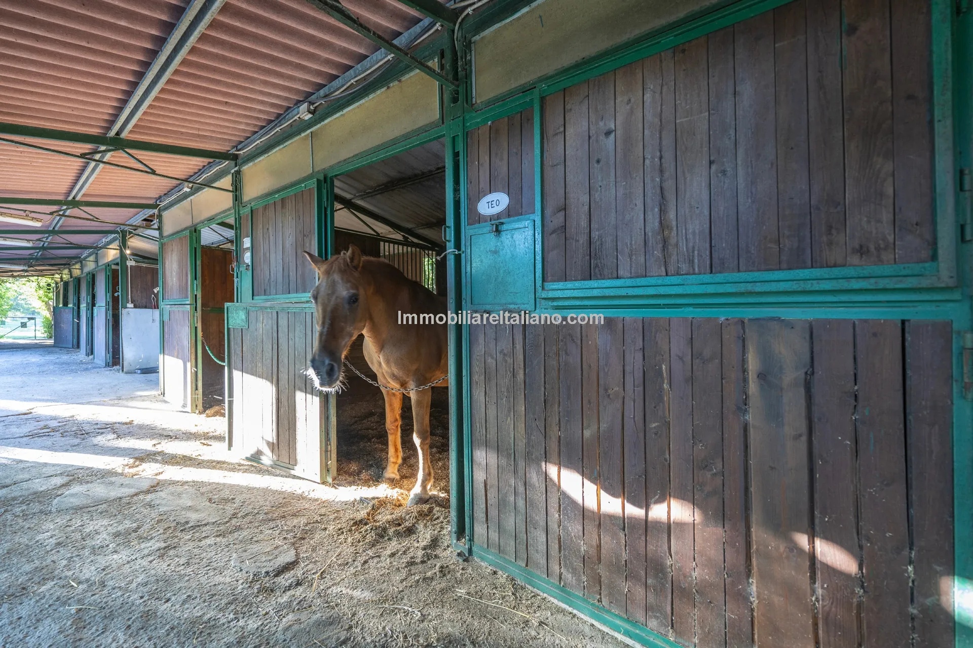 9-Bedroom Farmhouse with Pool and Equestrian Potential in Tuscany - View image 26 of 104