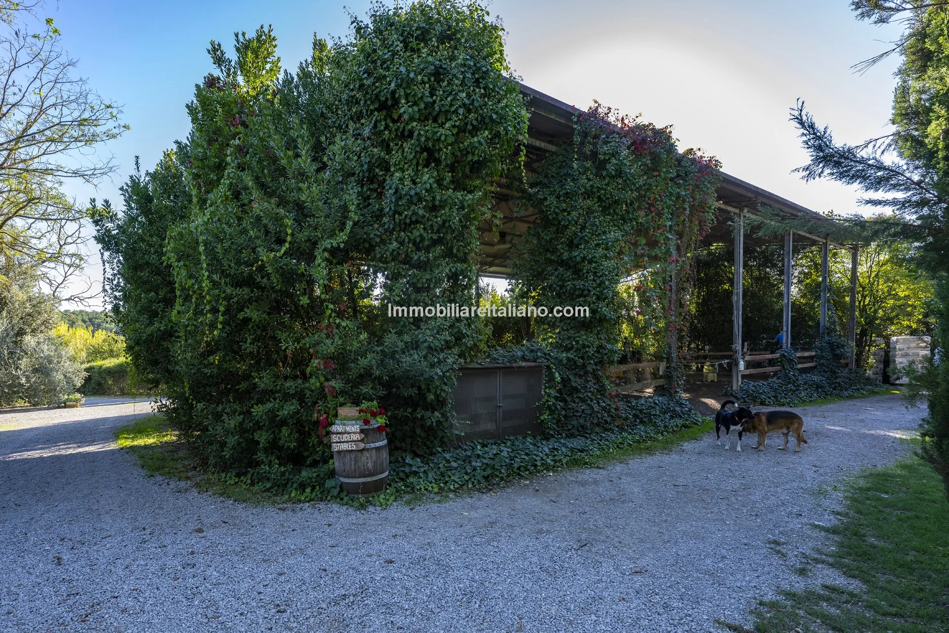 9-Bedroom Farmhouse with Pool and Equestrian Potential in Tuscany - View image 28 of 104