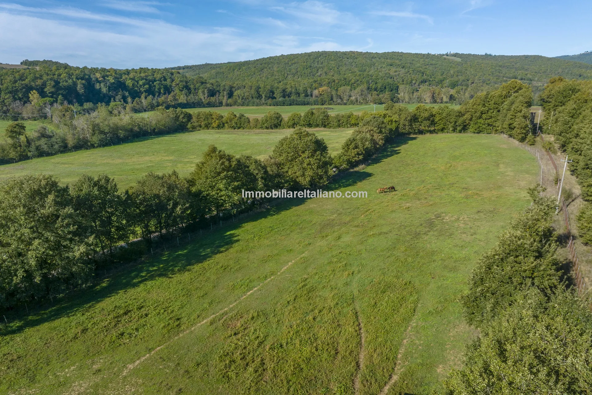 9-Bedroom Farmhouse with Pool and Equestrian Potential in Tuscany - View image 29 of 104