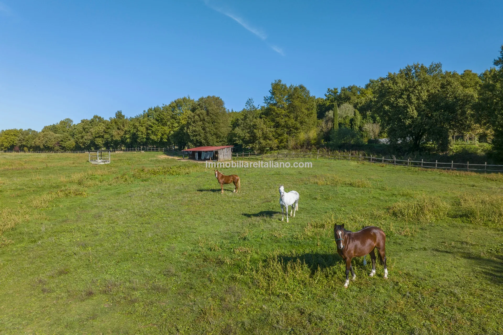 9-Bedroom Farmhouse with Pool and Equestrian Potential in Tuscany - View image 30 of 104