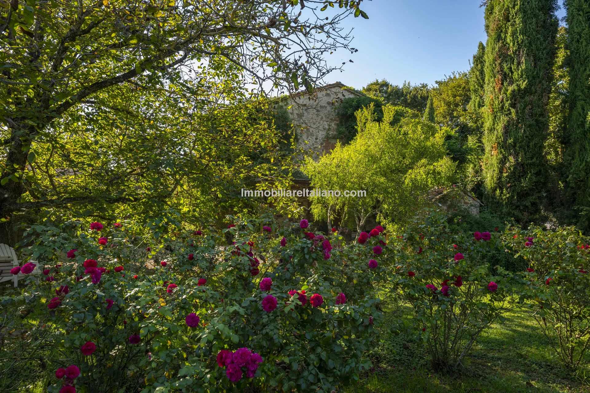 9-Bedroom Farmhouse with Pool and Equestrian Potential in Tuscany - View image 58 of 104