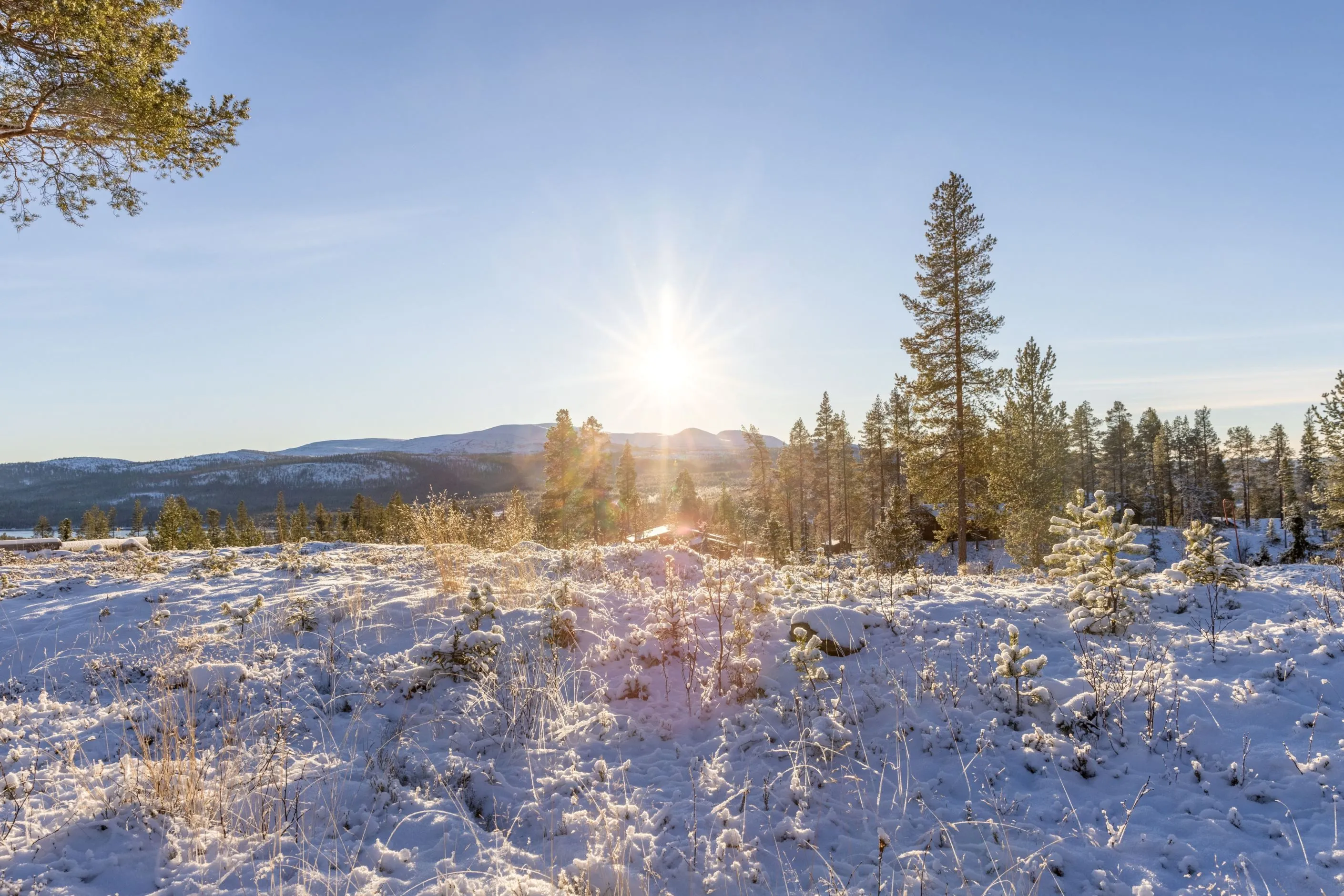 5-Bedroom Cabin with Terrace in Lofsdalen's Natural Beauty - View image 39 of 43