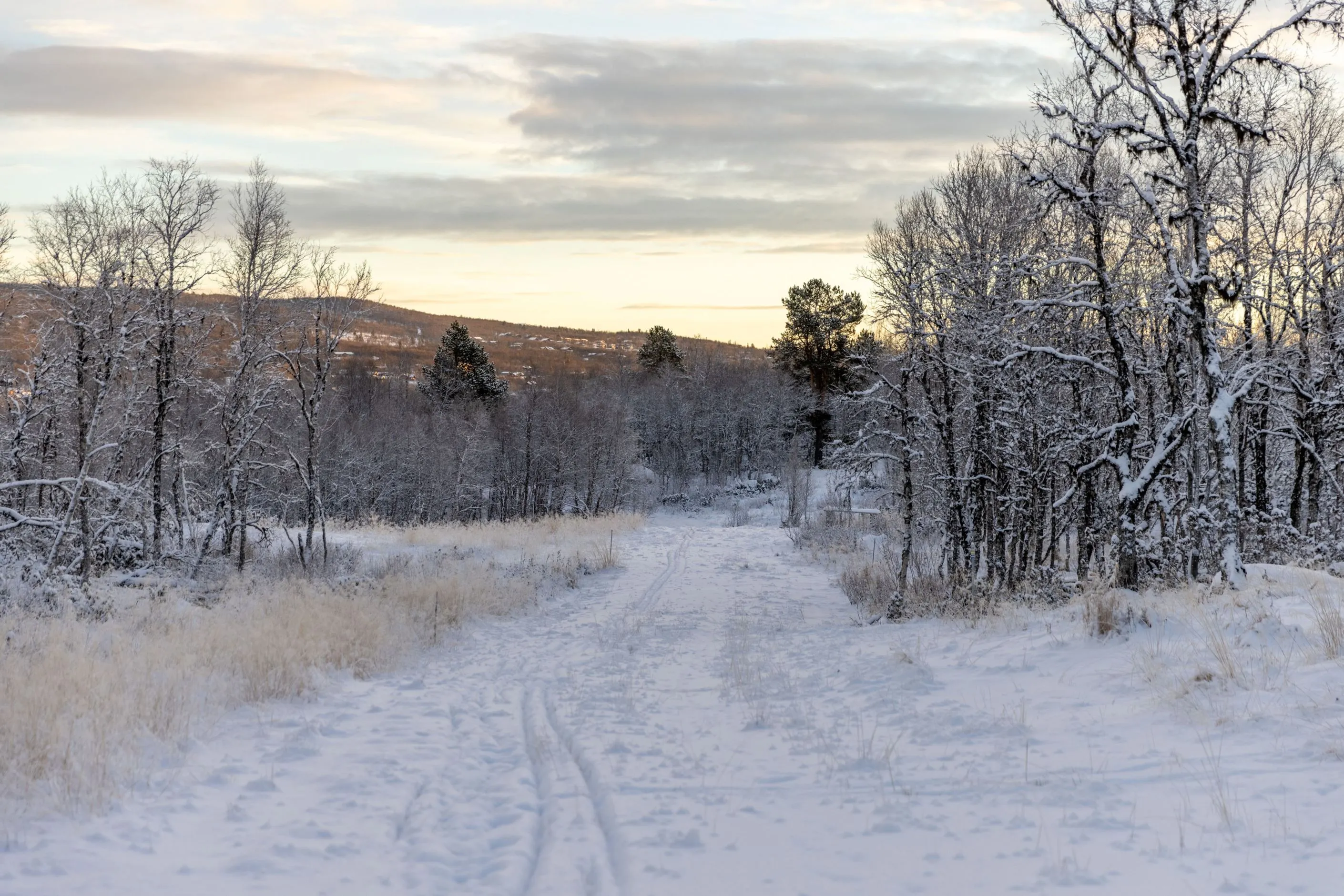 Contemporary 4-Bedroom House with Expansive Grounds in Tänndalen, Sweden - View image 37 of 43