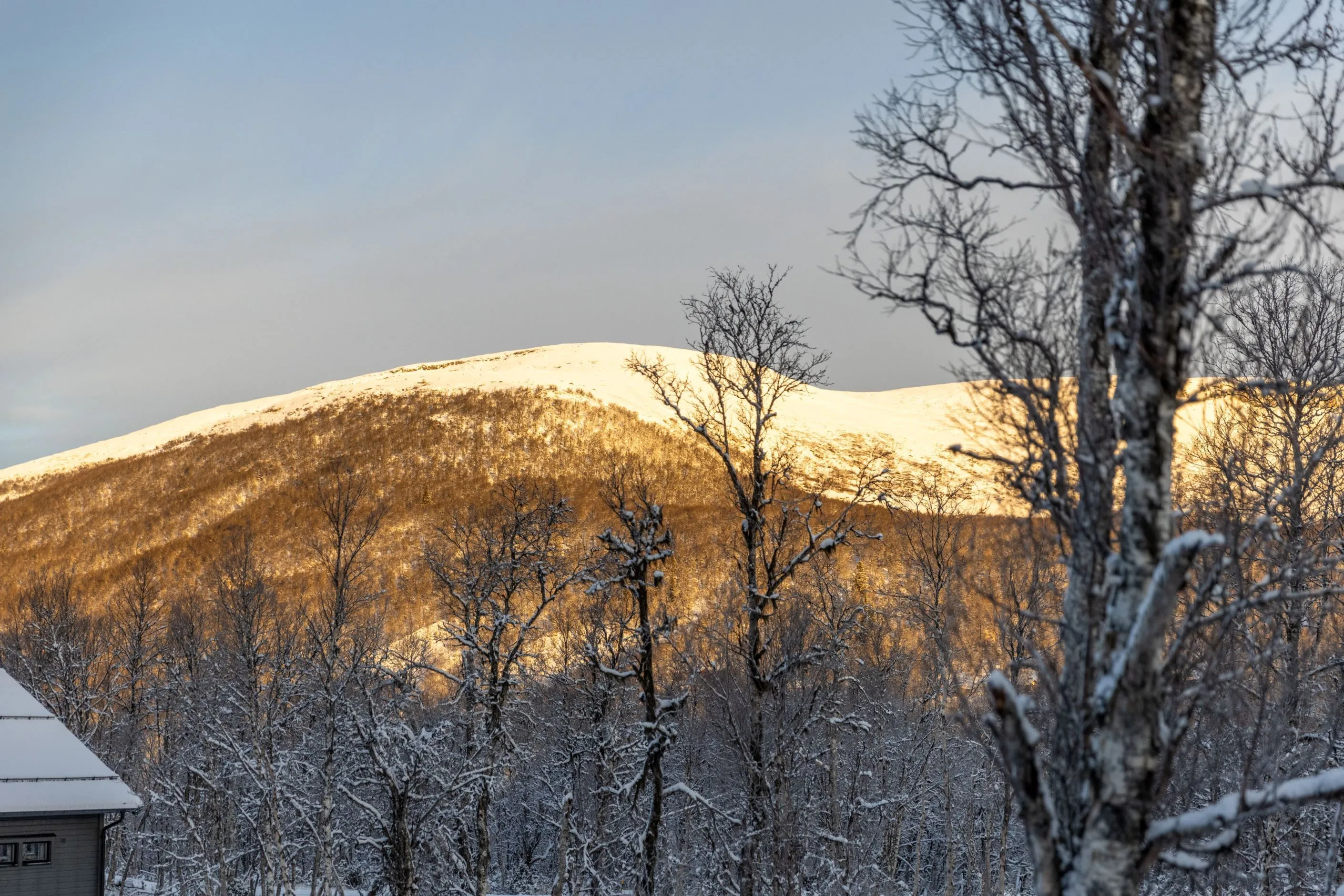 Contemporary 4-Bedroom House with Expansive Grounds in Tänndalen, Sweden - View image 38 of 43