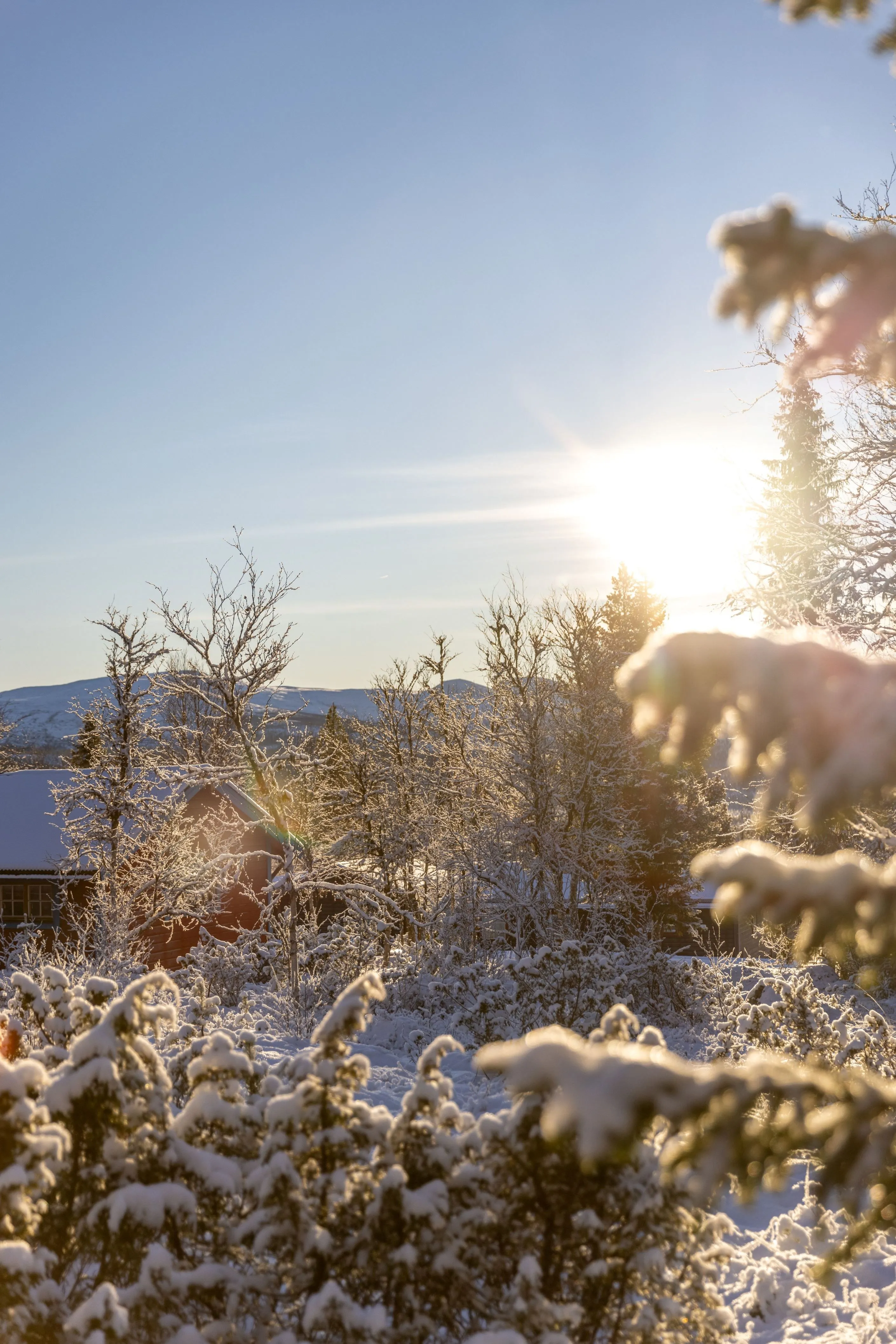 1970s Swedish Cabin with Expansive Garden in Scenic Lofsdalen - View image 36 of 39
