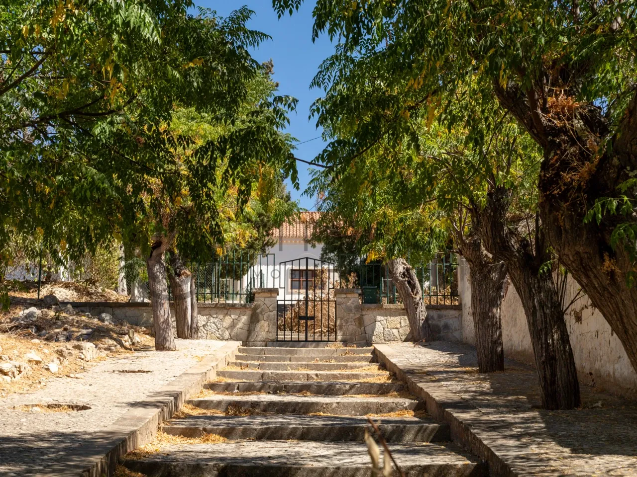 Land with Ruin for Development in Paderne, Faro - Prime Investment Opportunity - View image 29 of 29