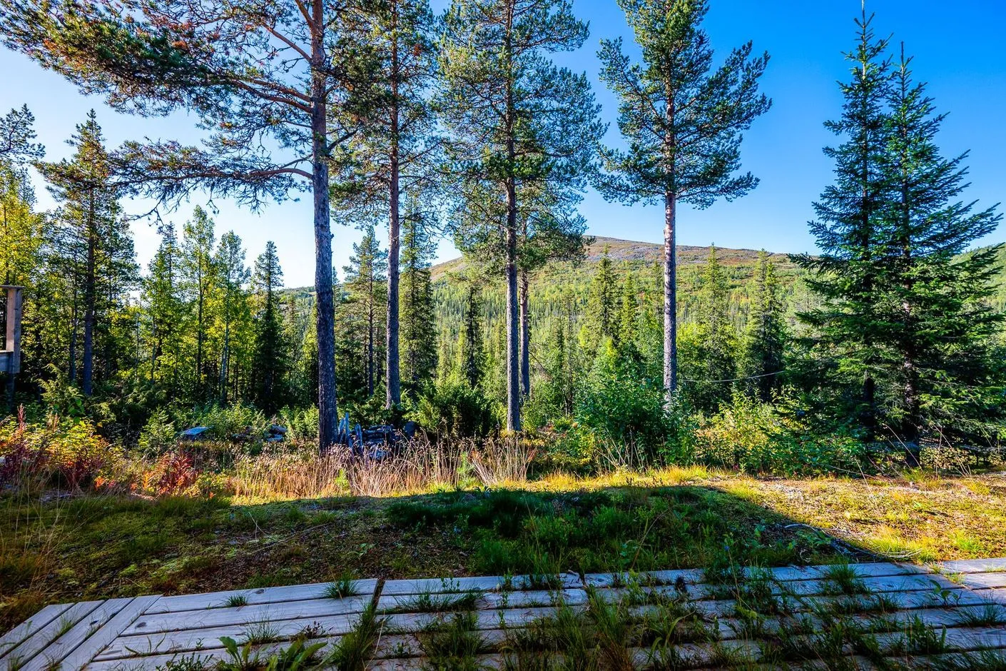 Kompaktes 2-Schlafzimmer-Refugium in der Nähe der Skipisten von Gällivare - Bild 15 von 21 anzeigen