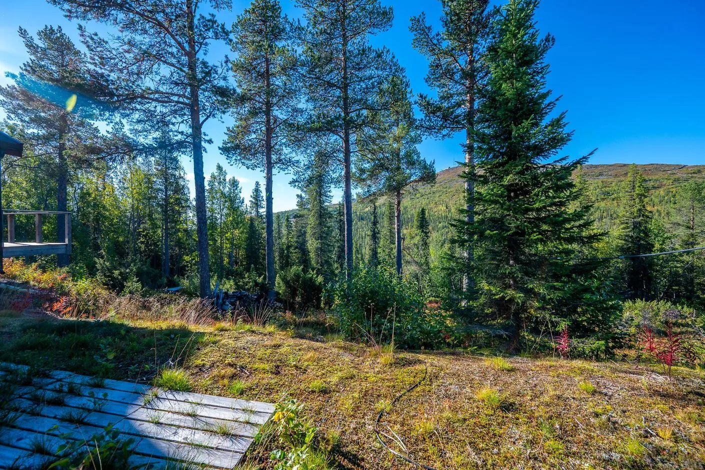 Kompaktes 2-Schlafzimmer-Refugium in der Nähe der Skipisten von Gällivare - Bild 16 von 21 anzeigen