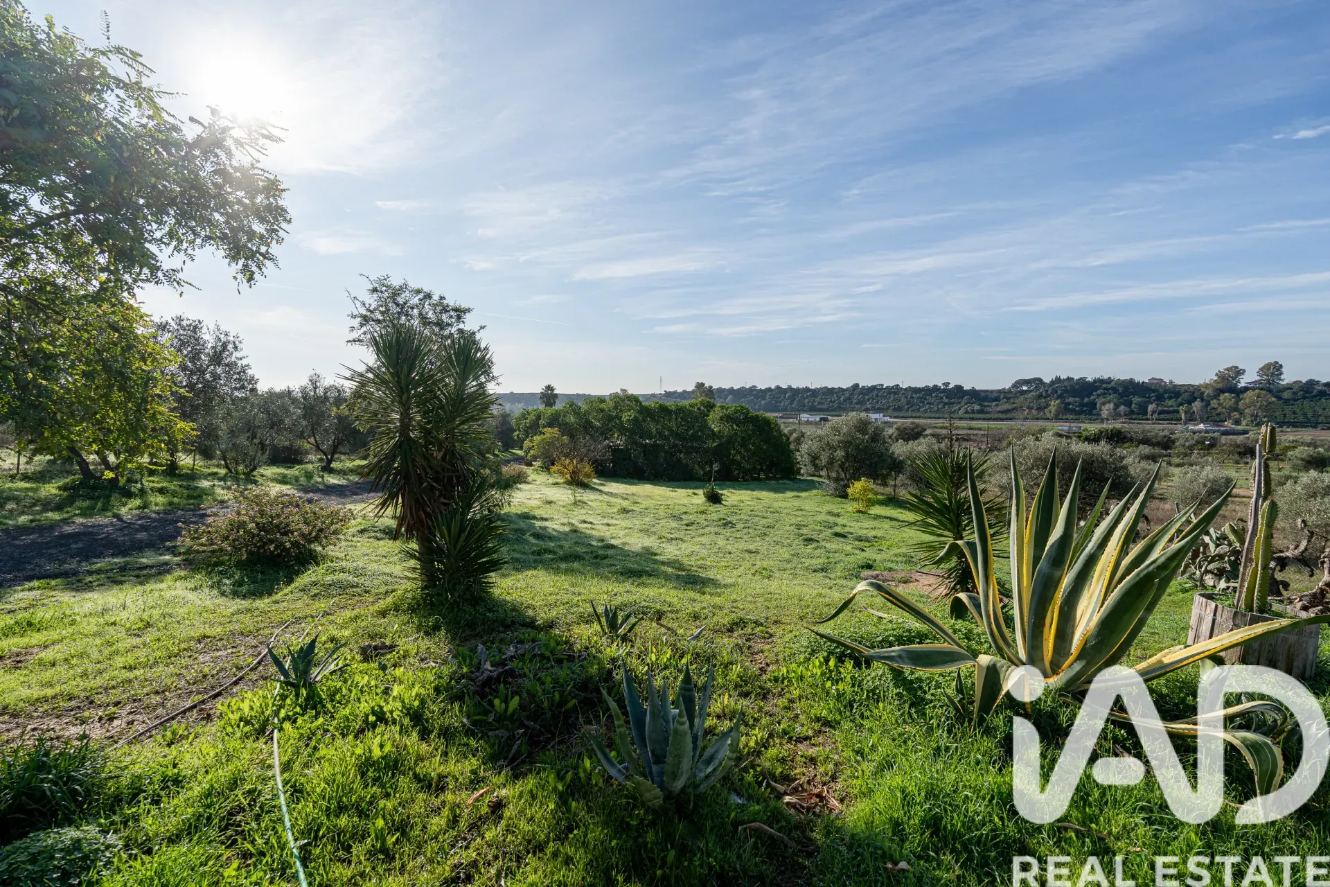 Modern 3-Bedroom Country House with Expansive Garden in Gibraleón, Spain - View image 35 of 35