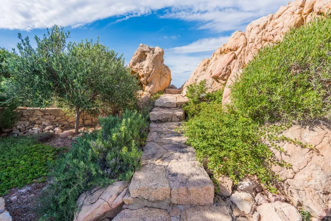 Seafront 5-Bedroom Villa with Infinity Pool in Costa Paradiso, Sardinia - View image 52 of 55