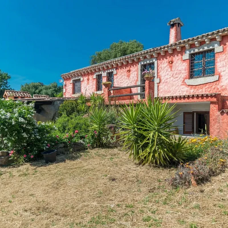 Retreat på Sardinien: Gods med 5 soveværelser, pool og olivenlund i Arzachena