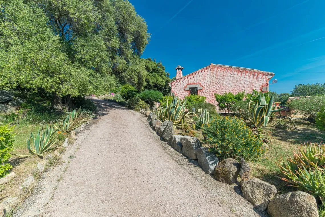 Sardinian Retreat: 5-Bedroom Estate with Pool and Olive Grove in Arzachena - Image 4