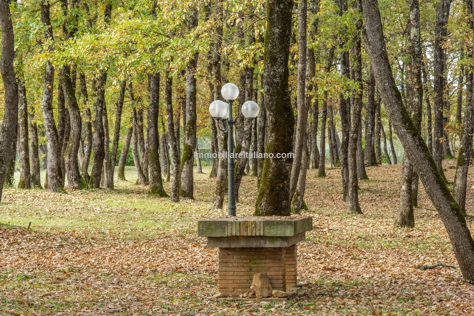 Tuscan Country House with Barn Conversion Potential near Anghiari - View image 15 of 73