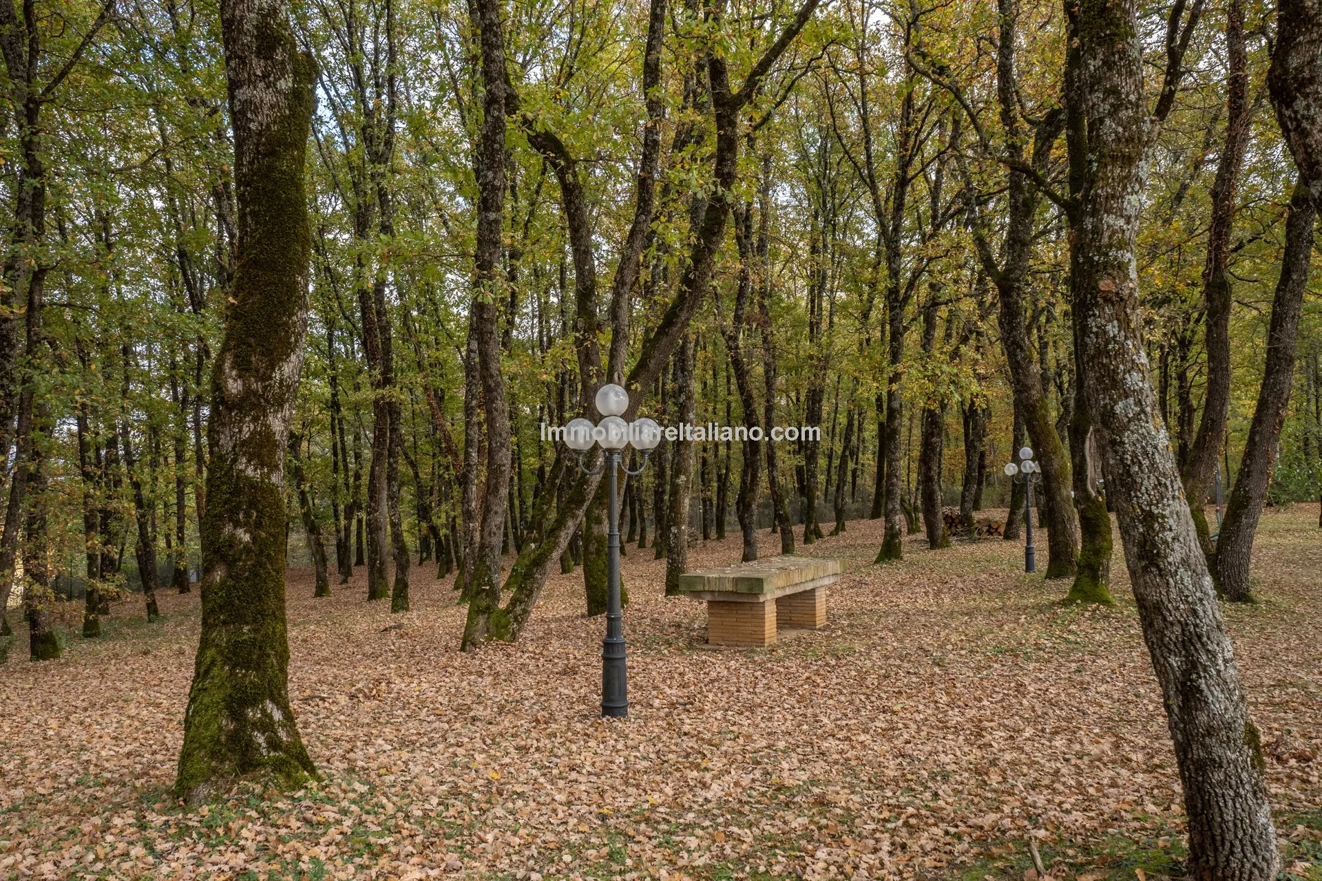 Tuscan Country House with Barn Conversion Potential near Anghiari - View image 19 of 73