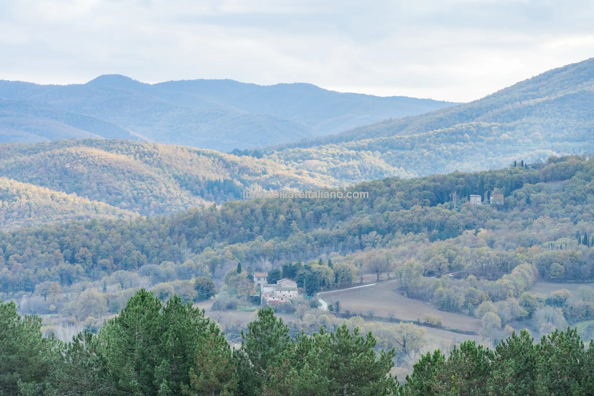 Tuscan Country House with Barn Conversion Potential near Anghiari - View image 35 of 73