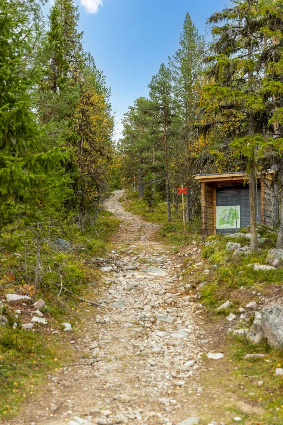 1990s Swedish Cabin with Business Potential in Scenic Härjedalen - View image 51 of 58