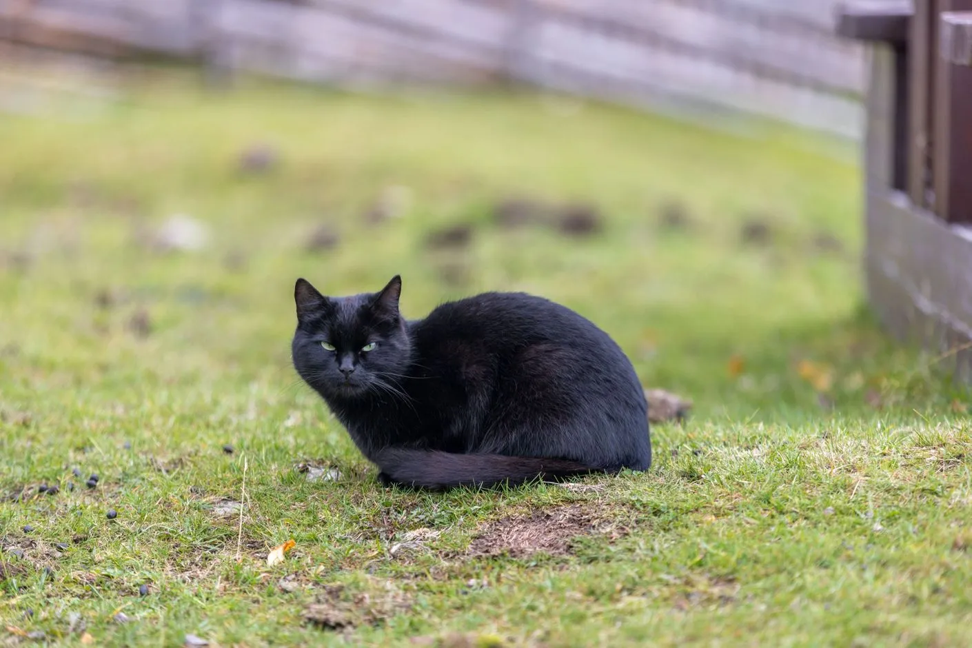 1990s Swedish Cabin with Business Potential in Scenic Härjedalen - View image 55 of 58
