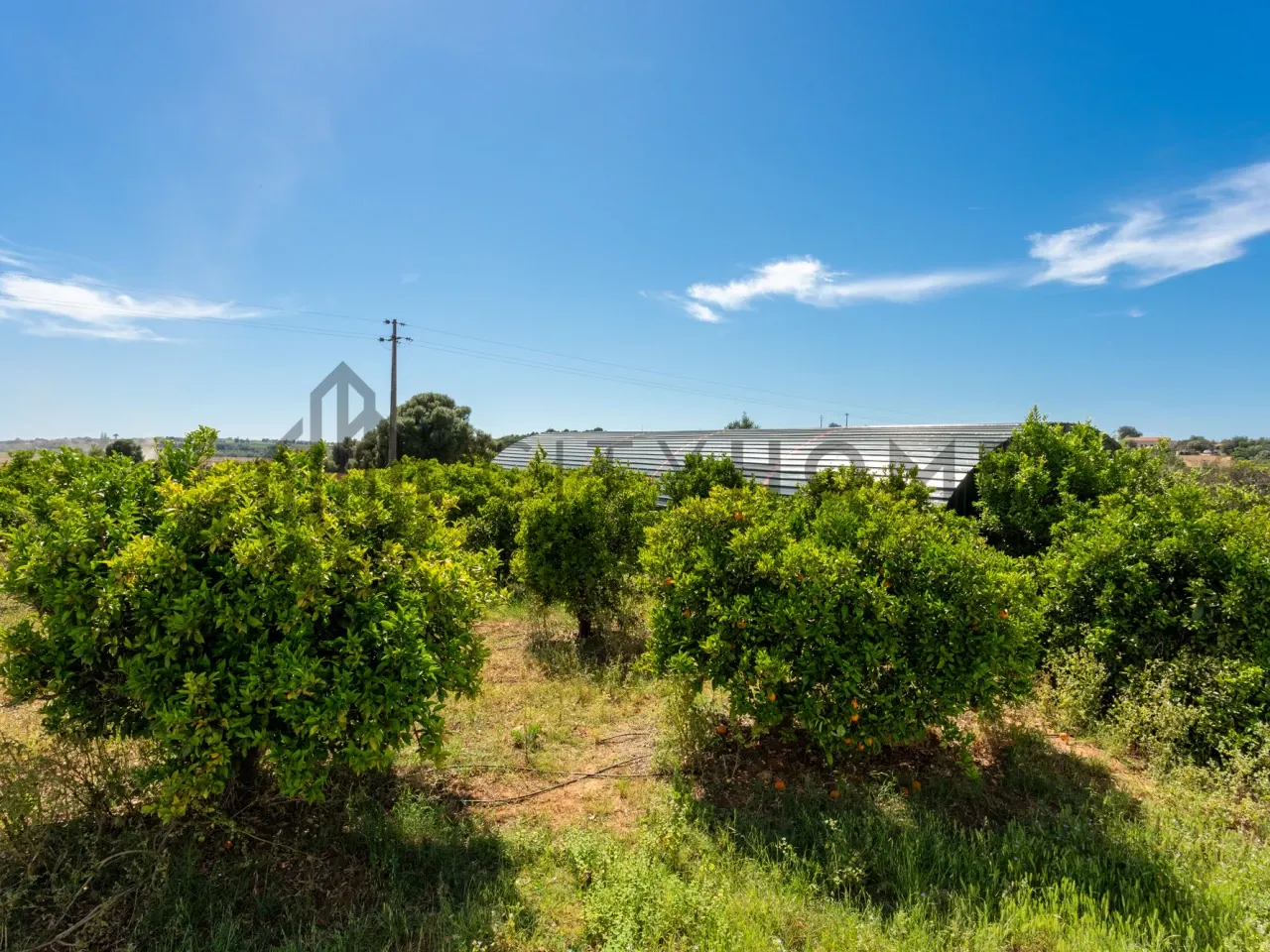 Spacious 3-Bedroom House with Pool and Expansive Garden in Silves, Algarve - View image 56 of 59