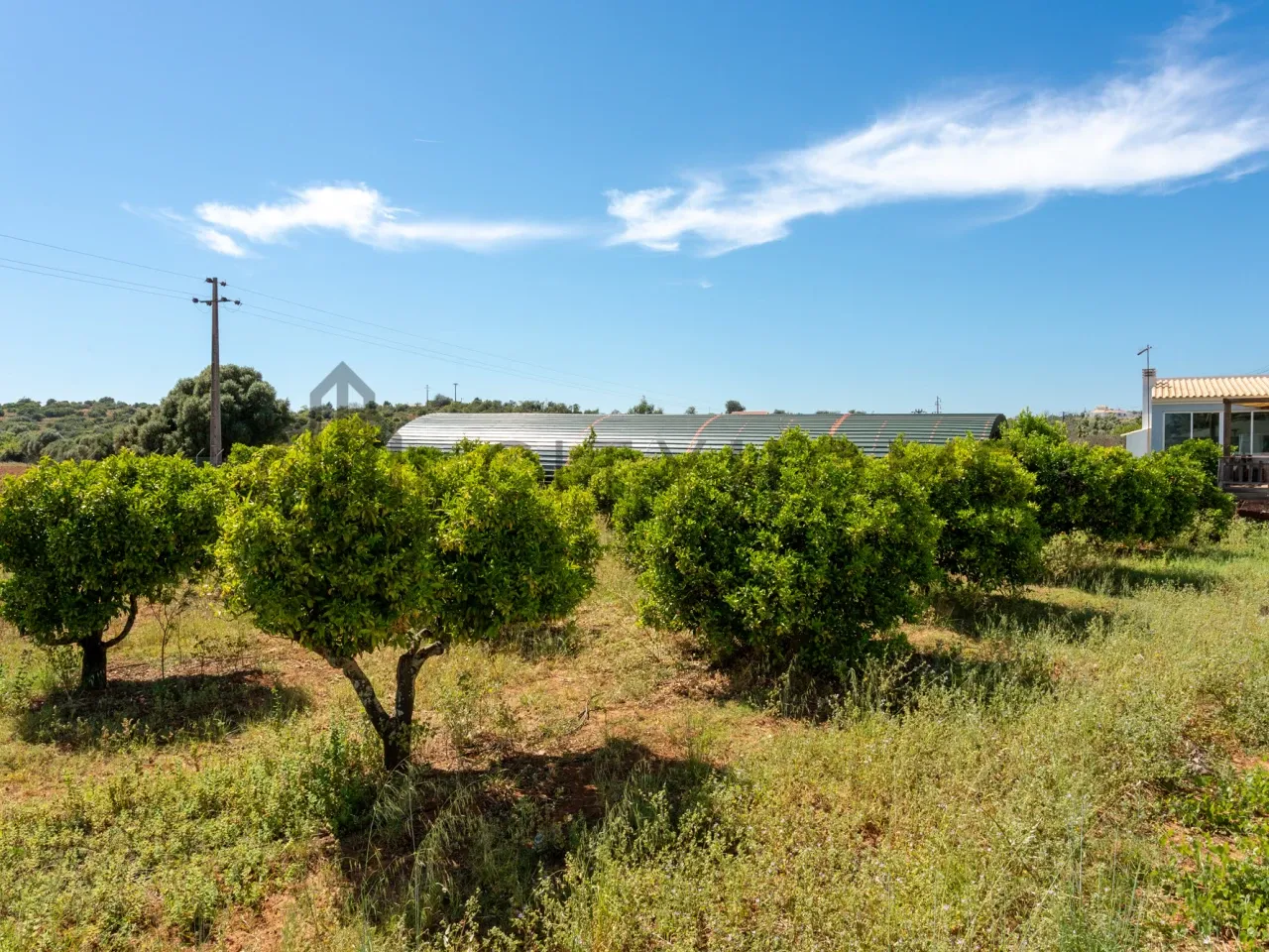 Spacious 3-Bedroom House with Pool and Expansive Garden in Silves, Algarve - View image 58 of 59