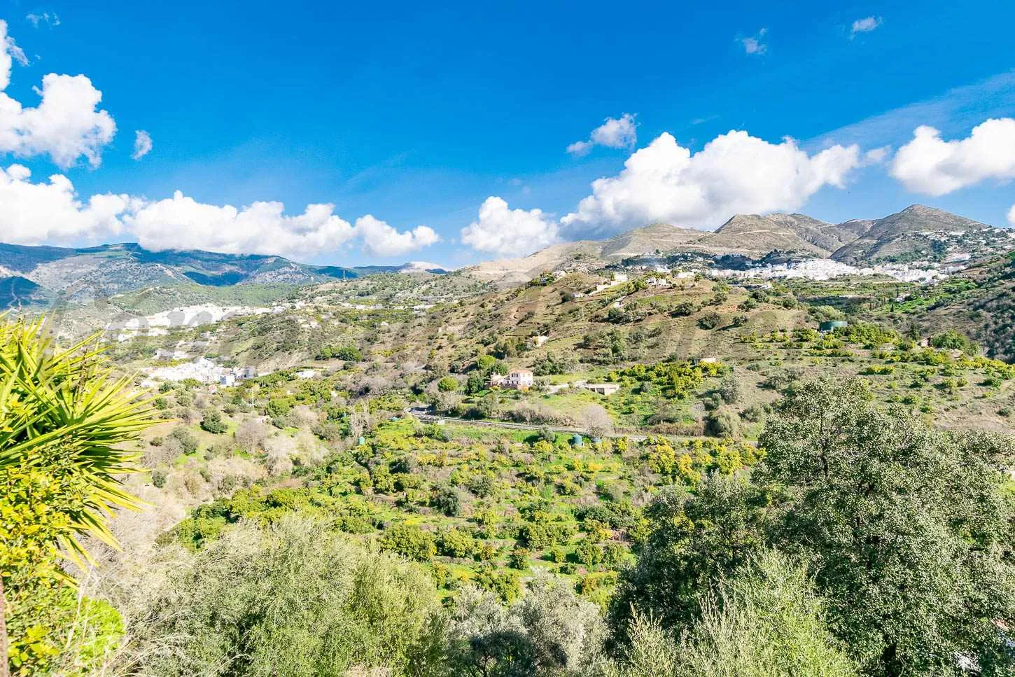 3-Bedroom Country House with Expansive Garden in Árchez, Málaga - View image 7 of 20