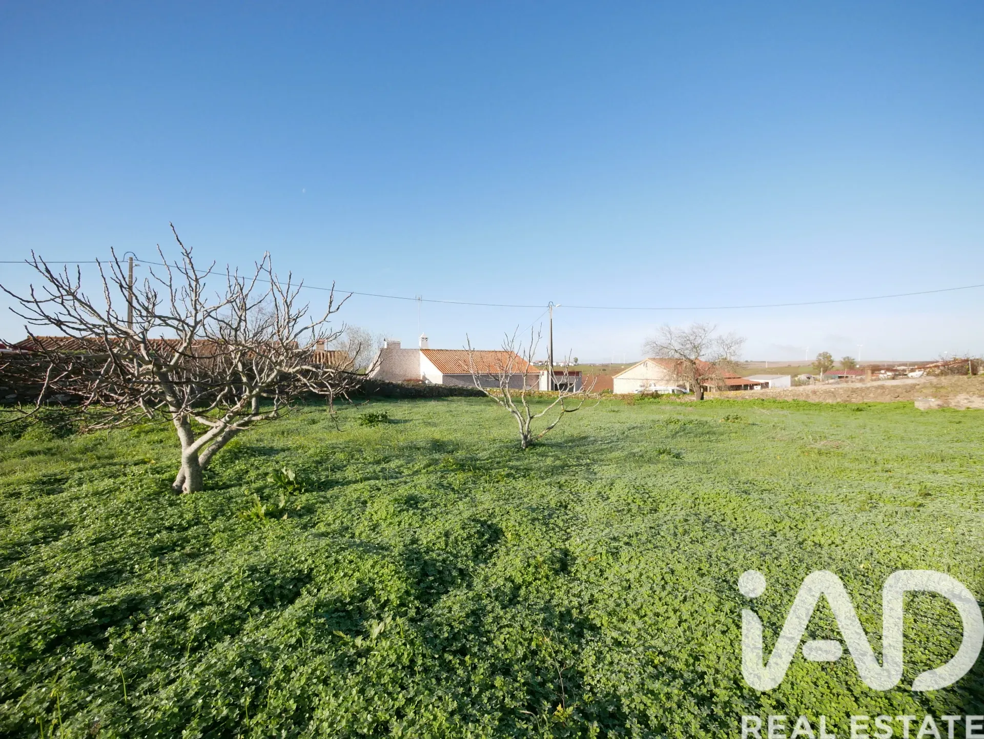 1950s Three-Bedroom House with Expansive Garden in Alentejo, Portugal - View image 22 of 40