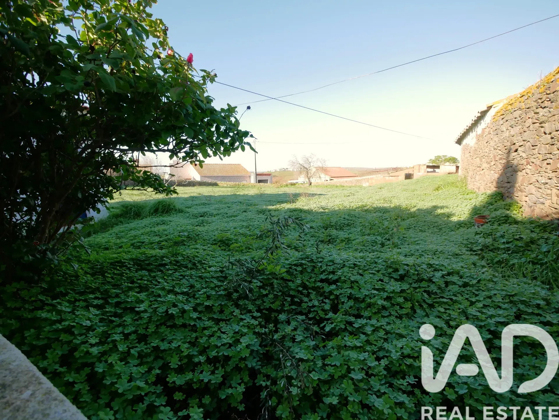 1950s Three-Bedroom House with Expansive Garden in Alentejo, Portugal - View image 25 of 40