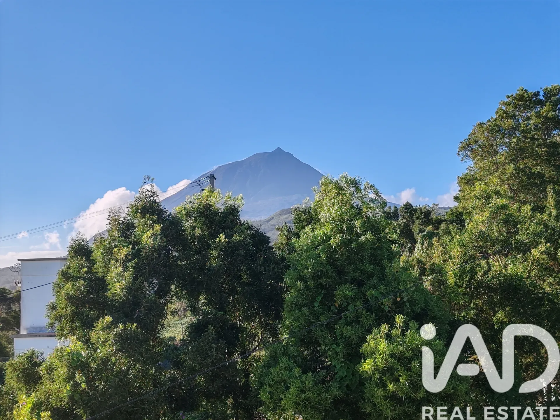 Spacious 5-Bedroom Family House with Expansive Garden in Lajes do Pico - View image 32 of 33