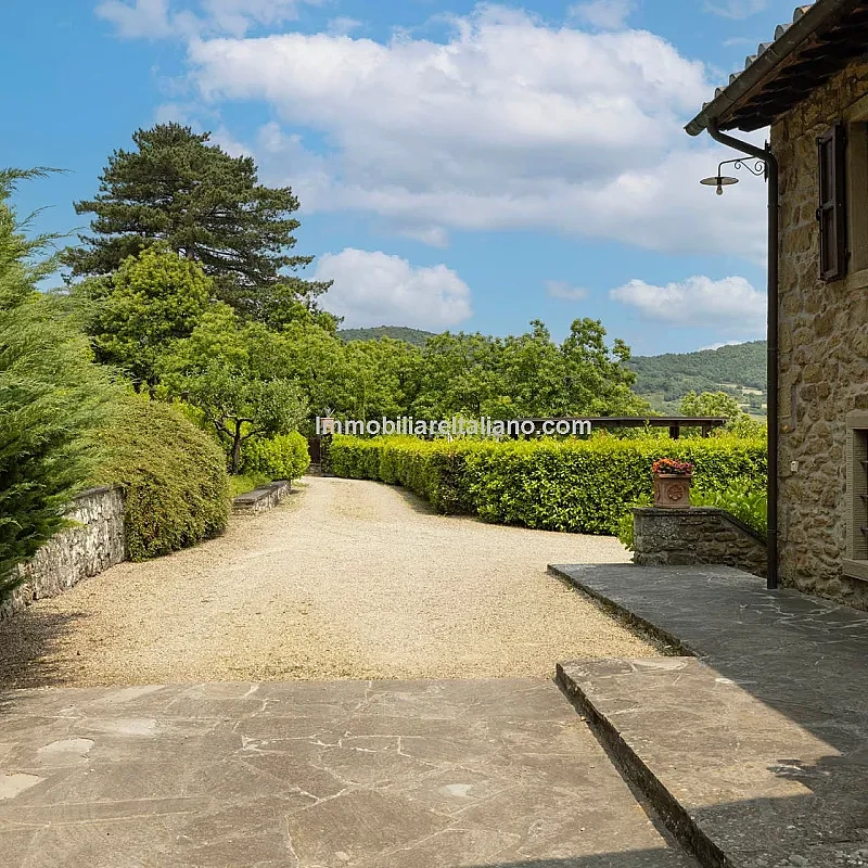 View image 11