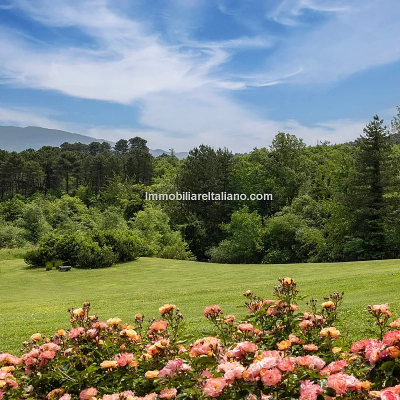 View image 13