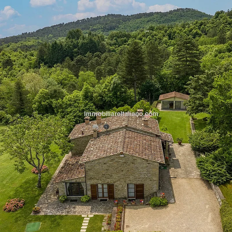 View image 34