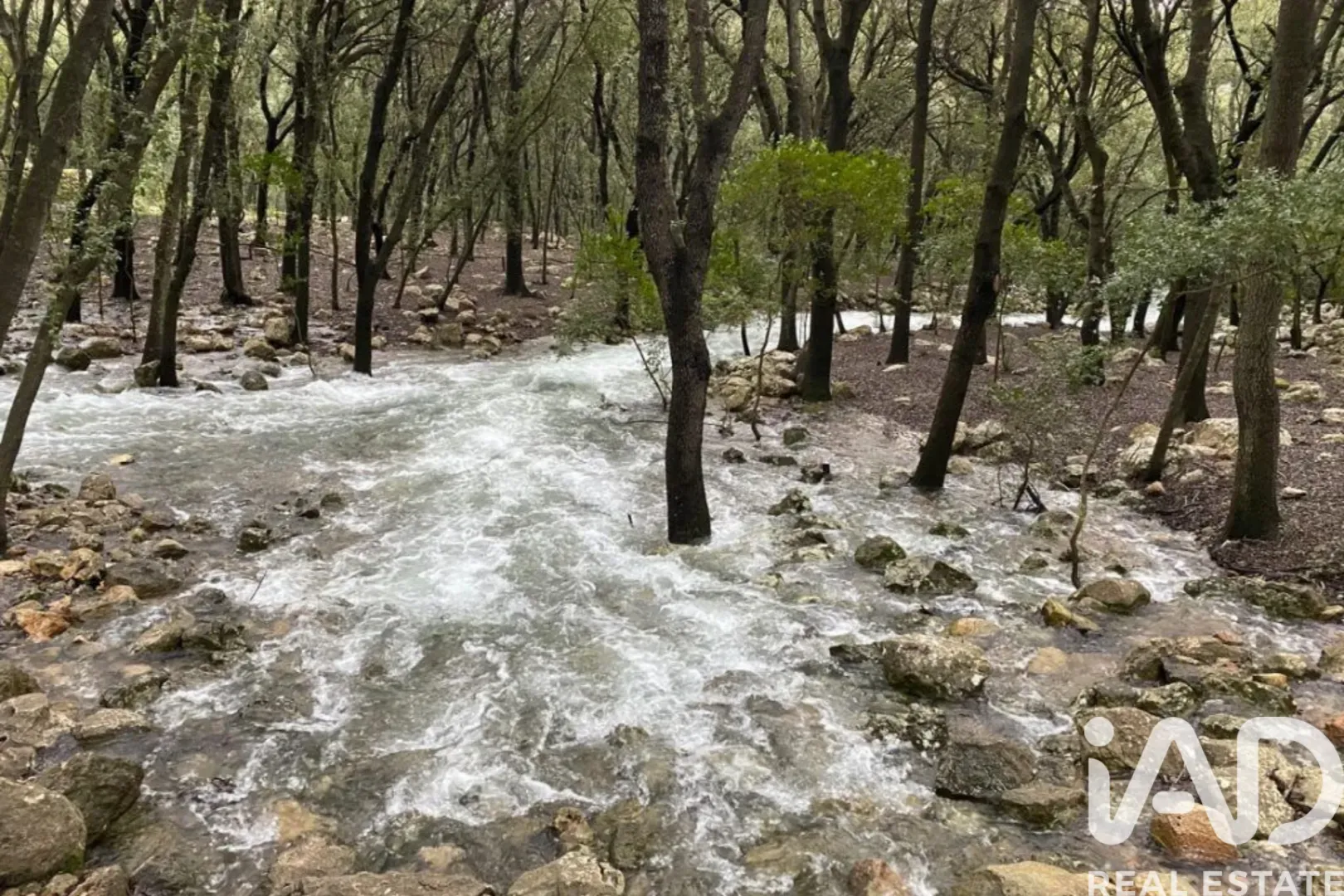 Modern 2-Bedroom House with Expansive Grounds and Pool in Campanet - View image 28 of 28