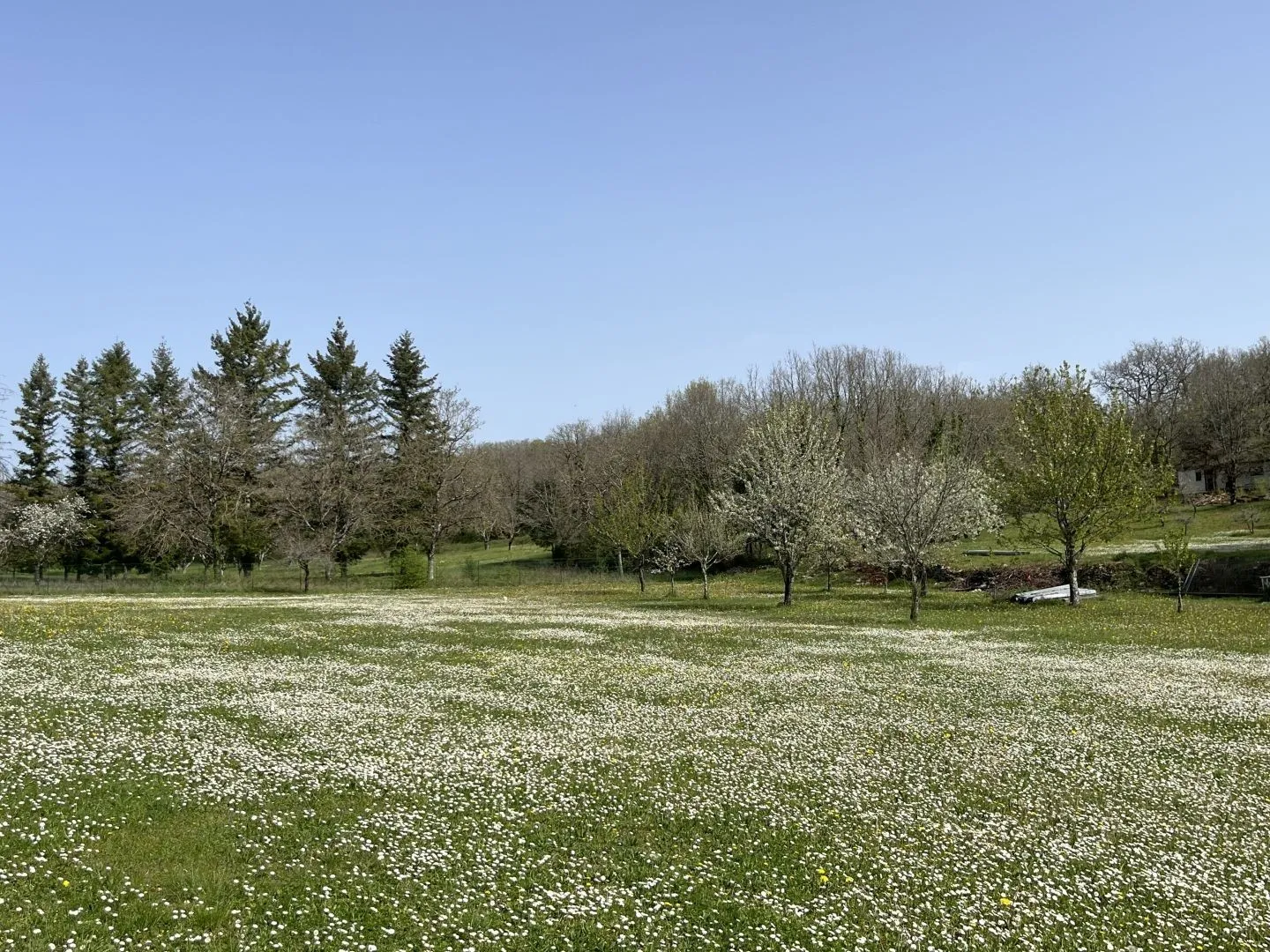 Expansive 4-Bedroom Country House with Gardens and Pool in Martel, France - Image 2