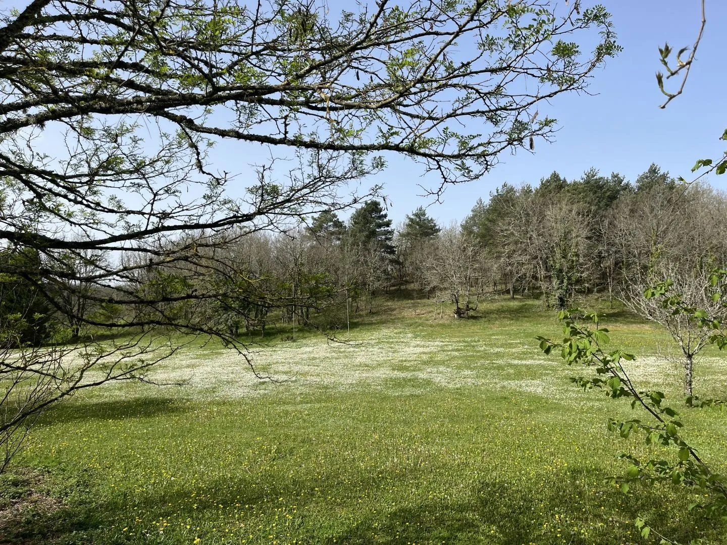 Expansive 4-Bedroom Country House with Gardens and Pool in Martel, France - View image 7 of 47