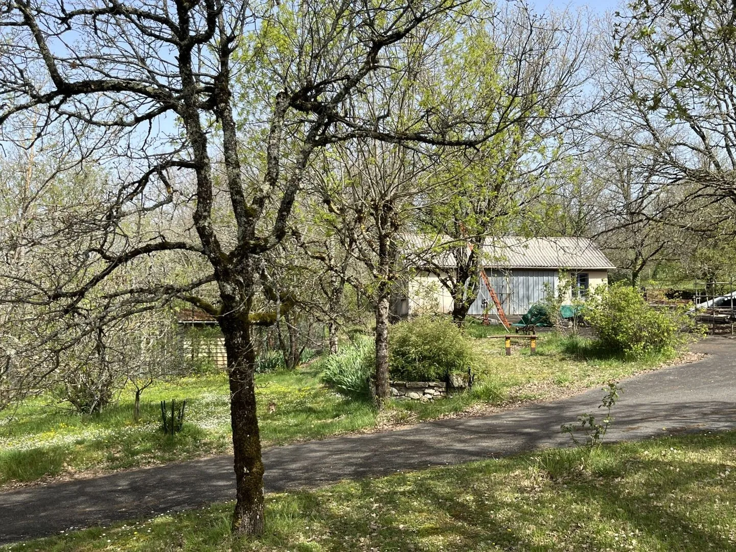 Expansive 4-Bedroom Country House with Gardens and Pool in Martel, France - View image 19 of 47
