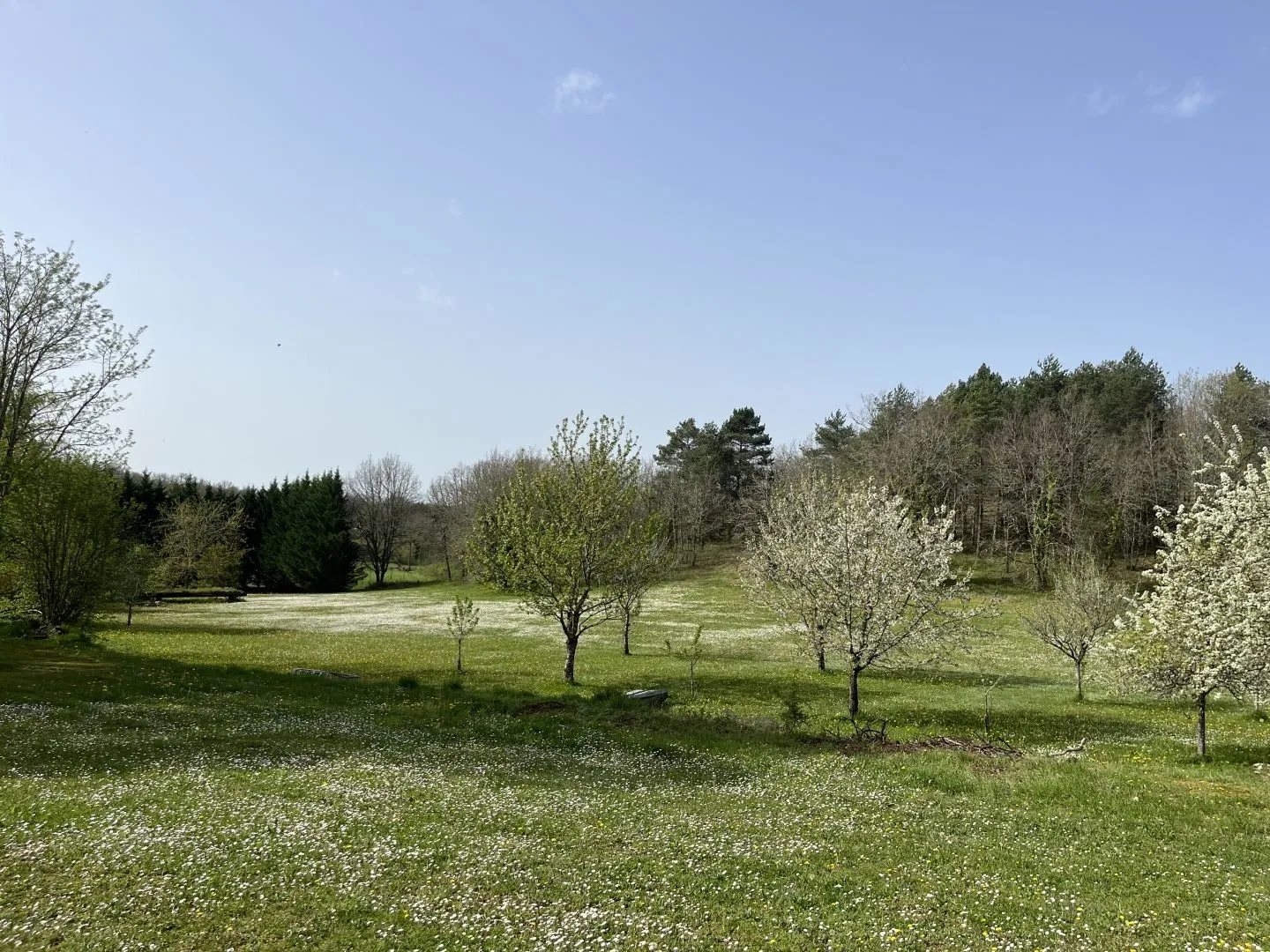 Expansive 4-Bedroom Country House with Gardens and Pool in Martel, France - View image 26 of 47